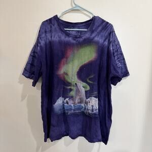The Mountain Evolution Polar Bear Aurora Borealis Purple Tie Dye T-Shirt 2XL